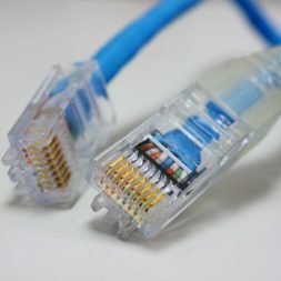 Kabel LAN UTP CAT5E NETLINE - 4